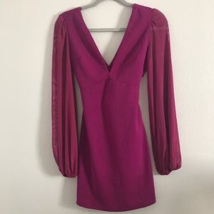 Sheer long sleeve Dress NWOT